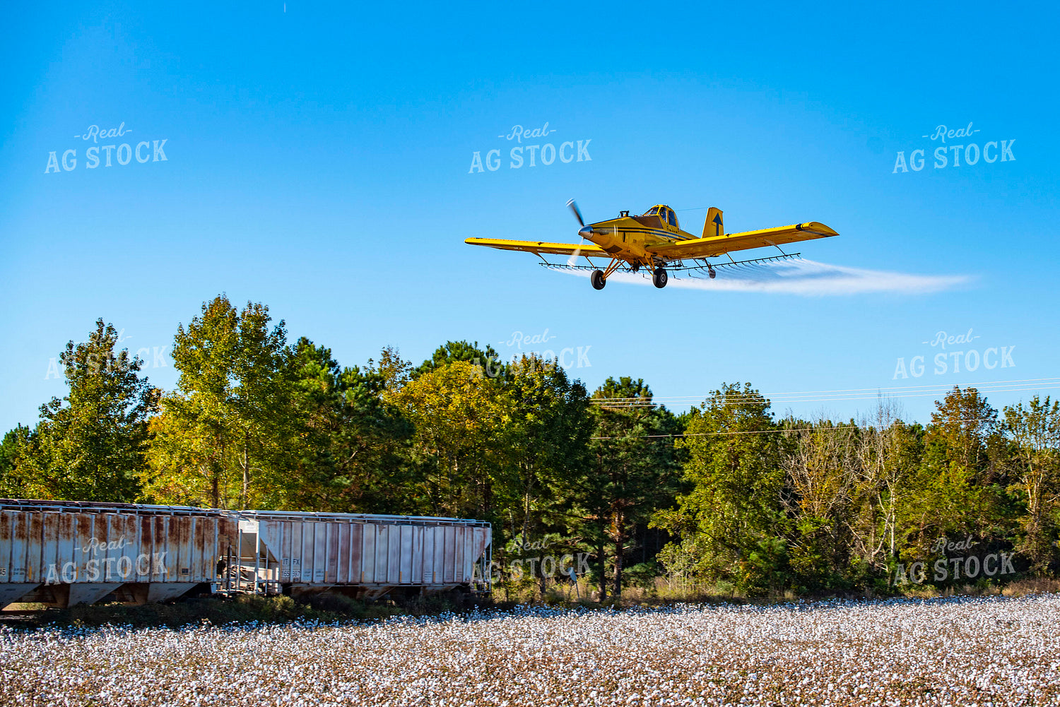 Crop Duster Spraying Cotton Field 136270