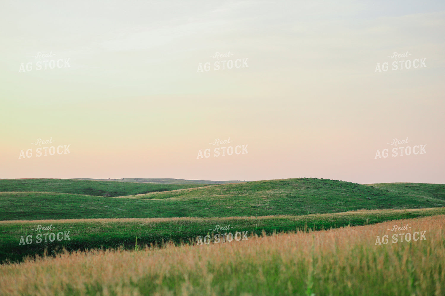 Hilly Pasture 123014