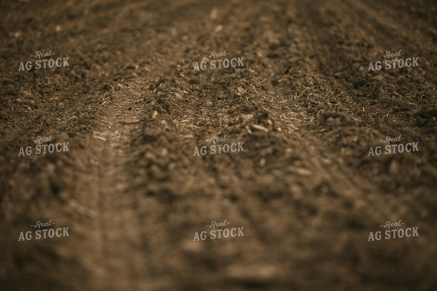 Just Planted Soil in Field 5465