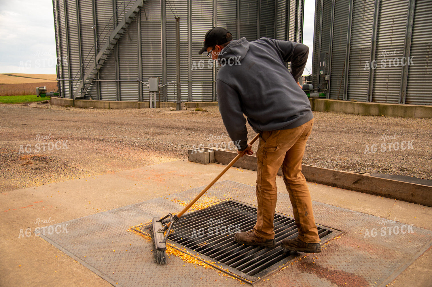 Farmer Sweeping Spilled Corn into Grain Pit On-farm Storage 25555