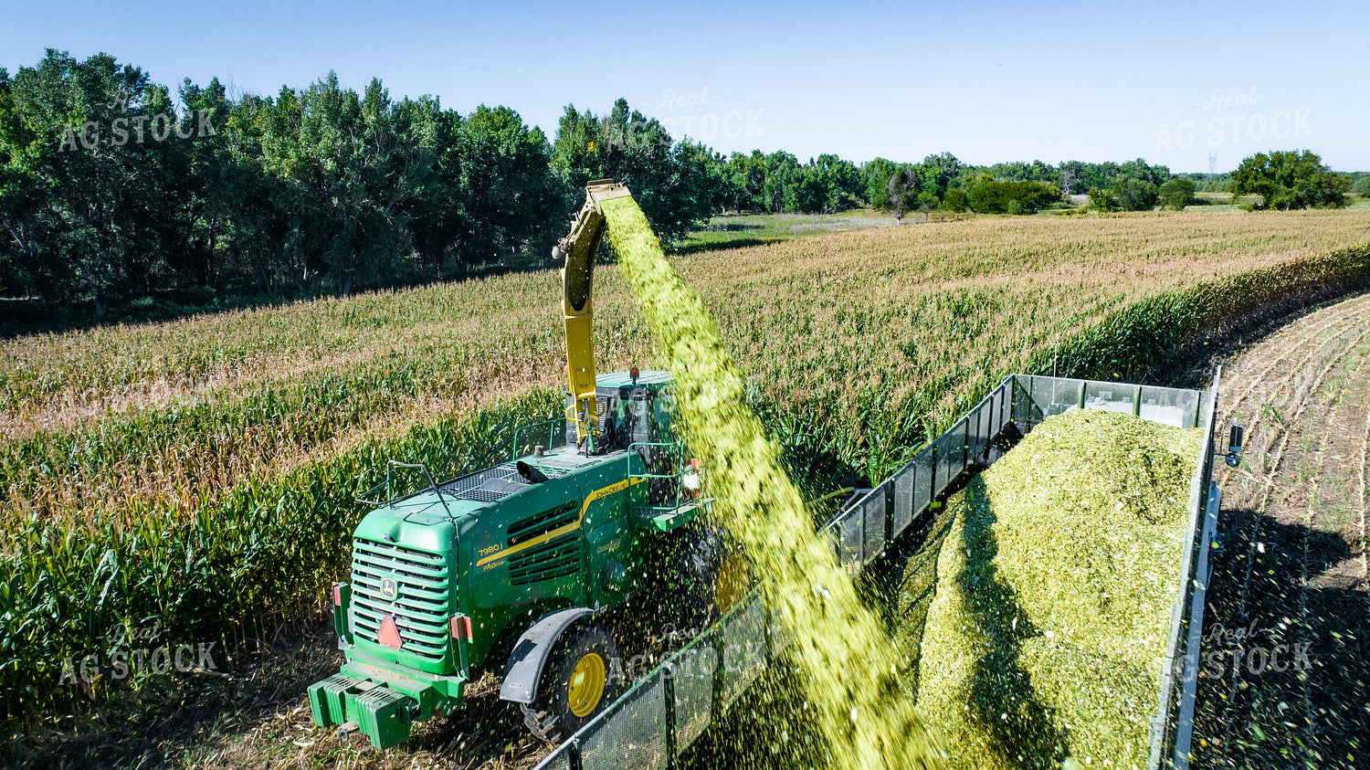 Silage Harvest 56540