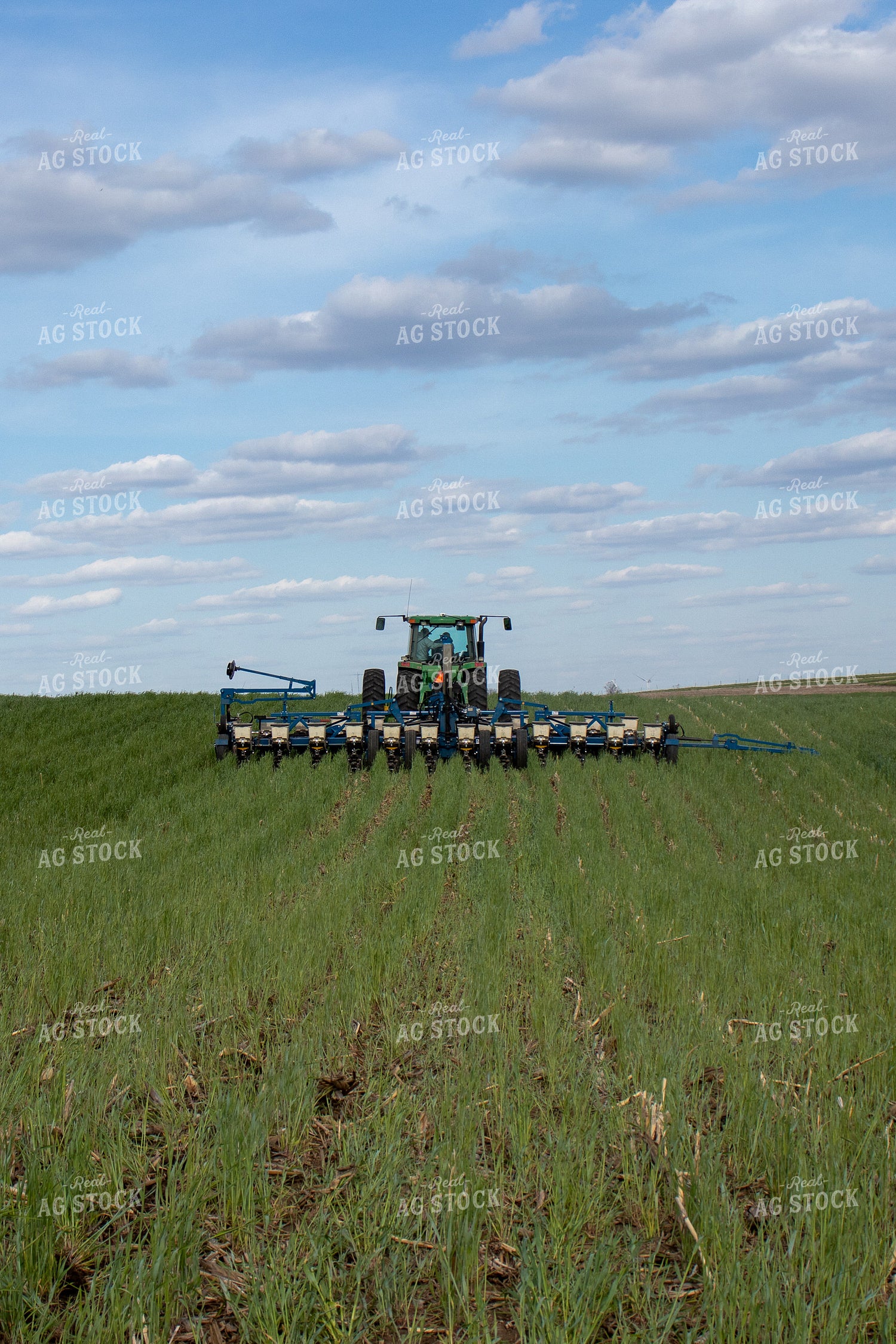 Planting into Cover Crops 67081