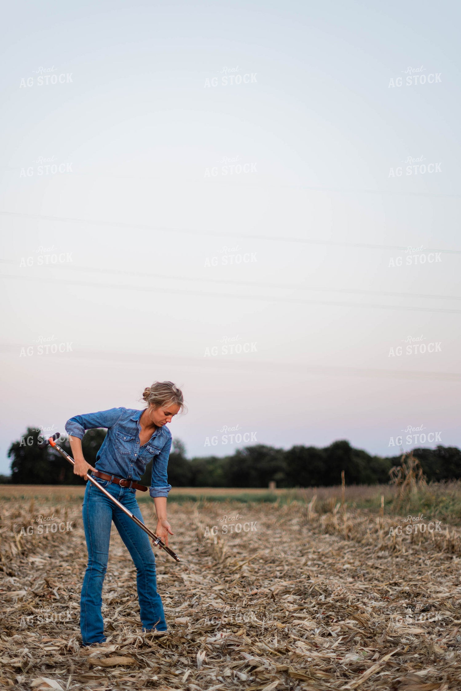 Female Farmer Taking Soil Sample 8382