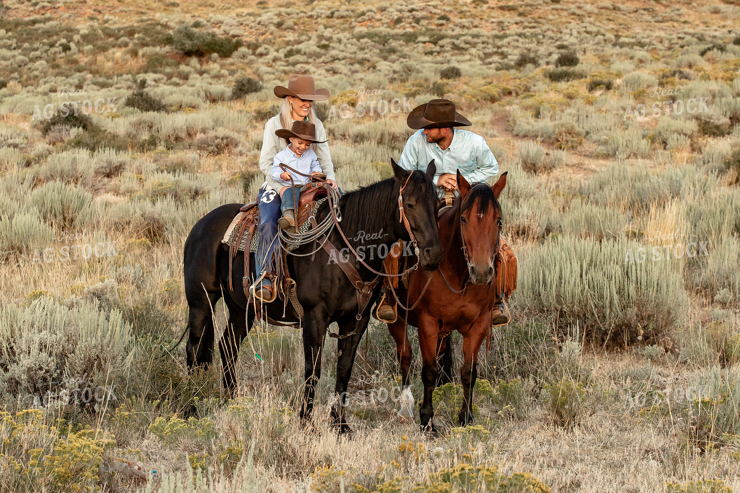Ranch Family 188035