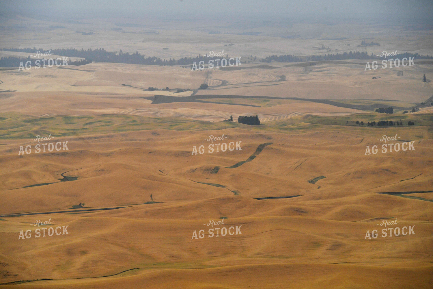 Rural Countryside with Rolling Hills 129046
