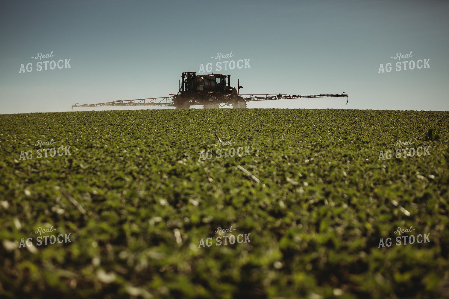 Spraying Soybeans 4364