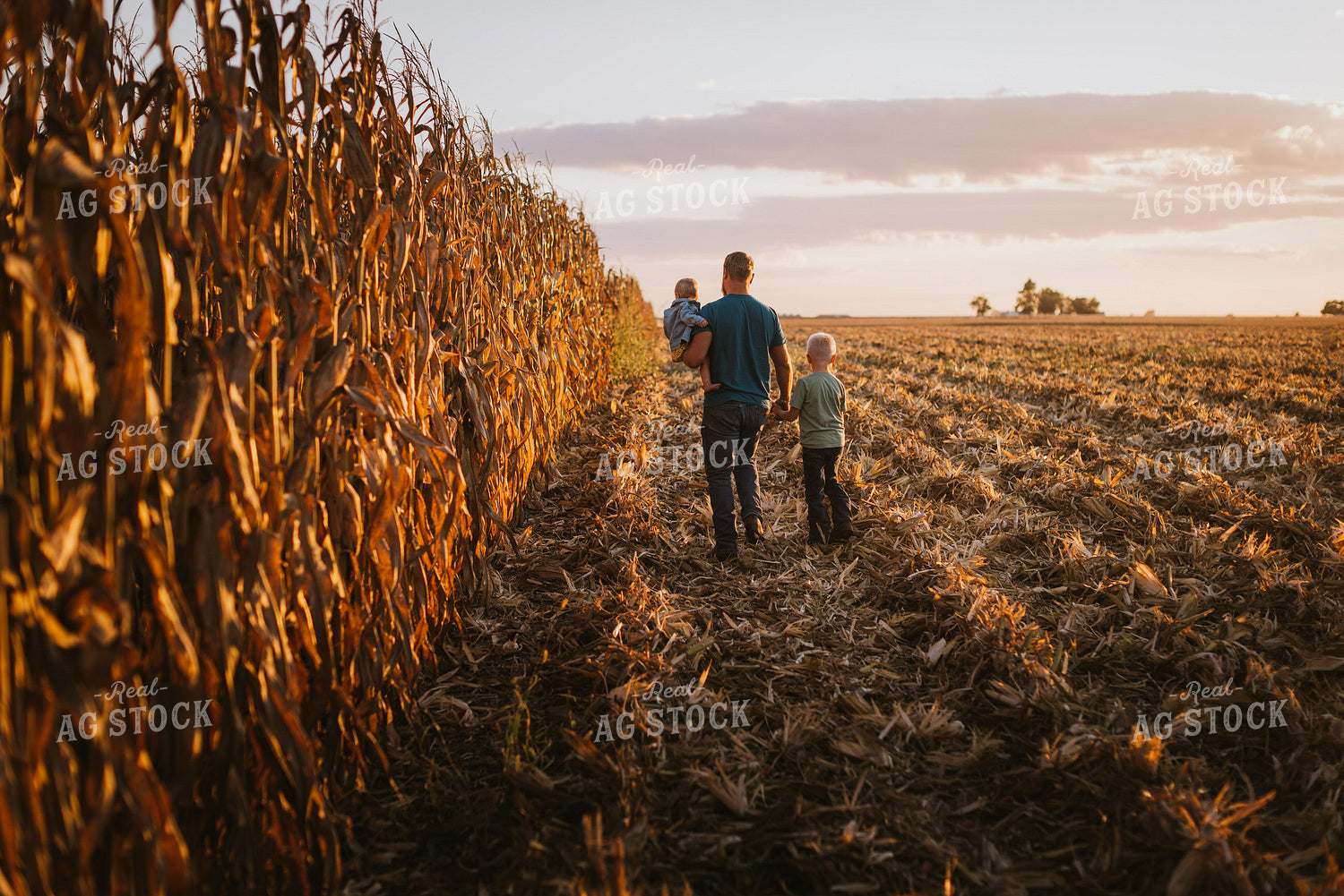 Farm Family Walking in Field 9384