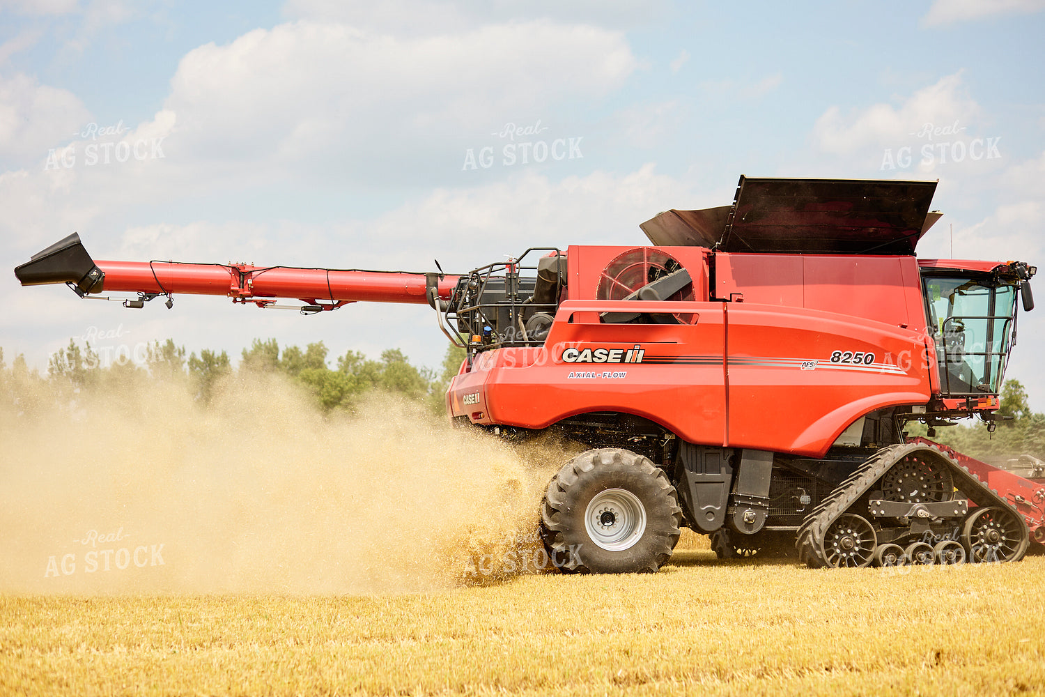 Red Combine Harvesting Wheat Field 216020