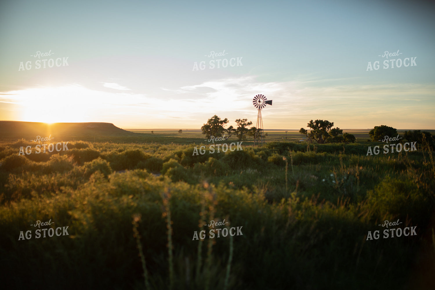 Scenic Landscape 190000