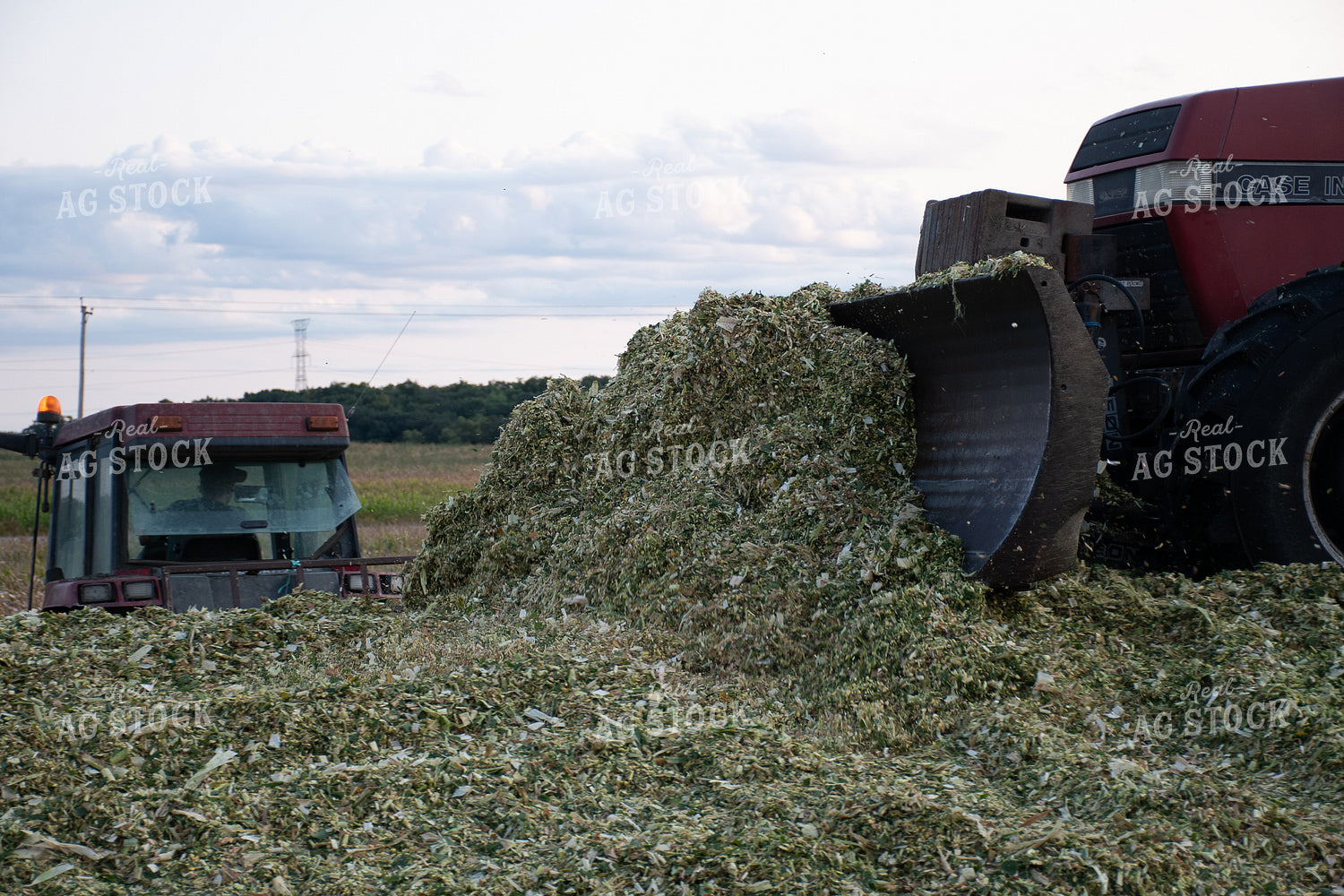 Tractor Getting Animal Feed 50230