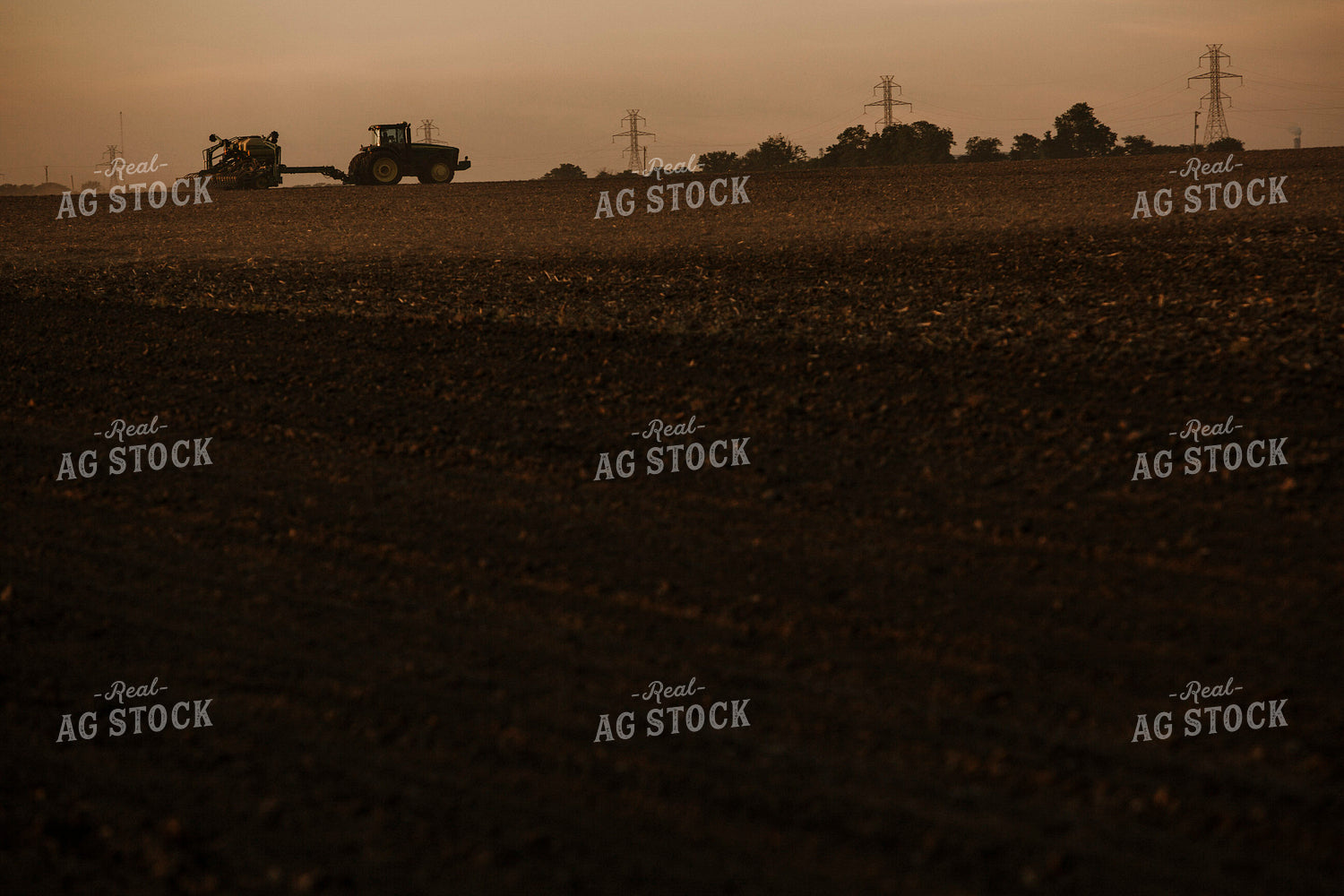 Planting 2849