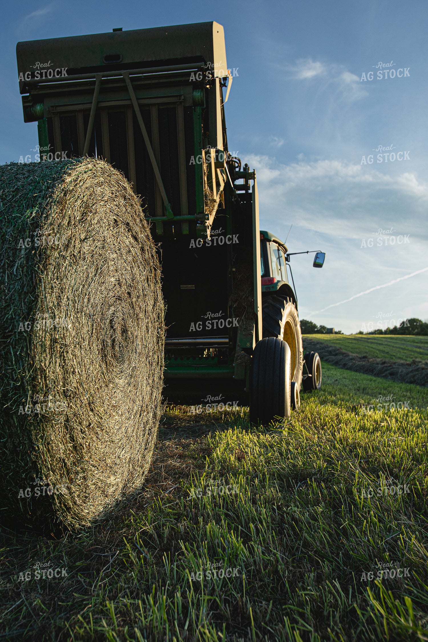 Baling Hay 189056