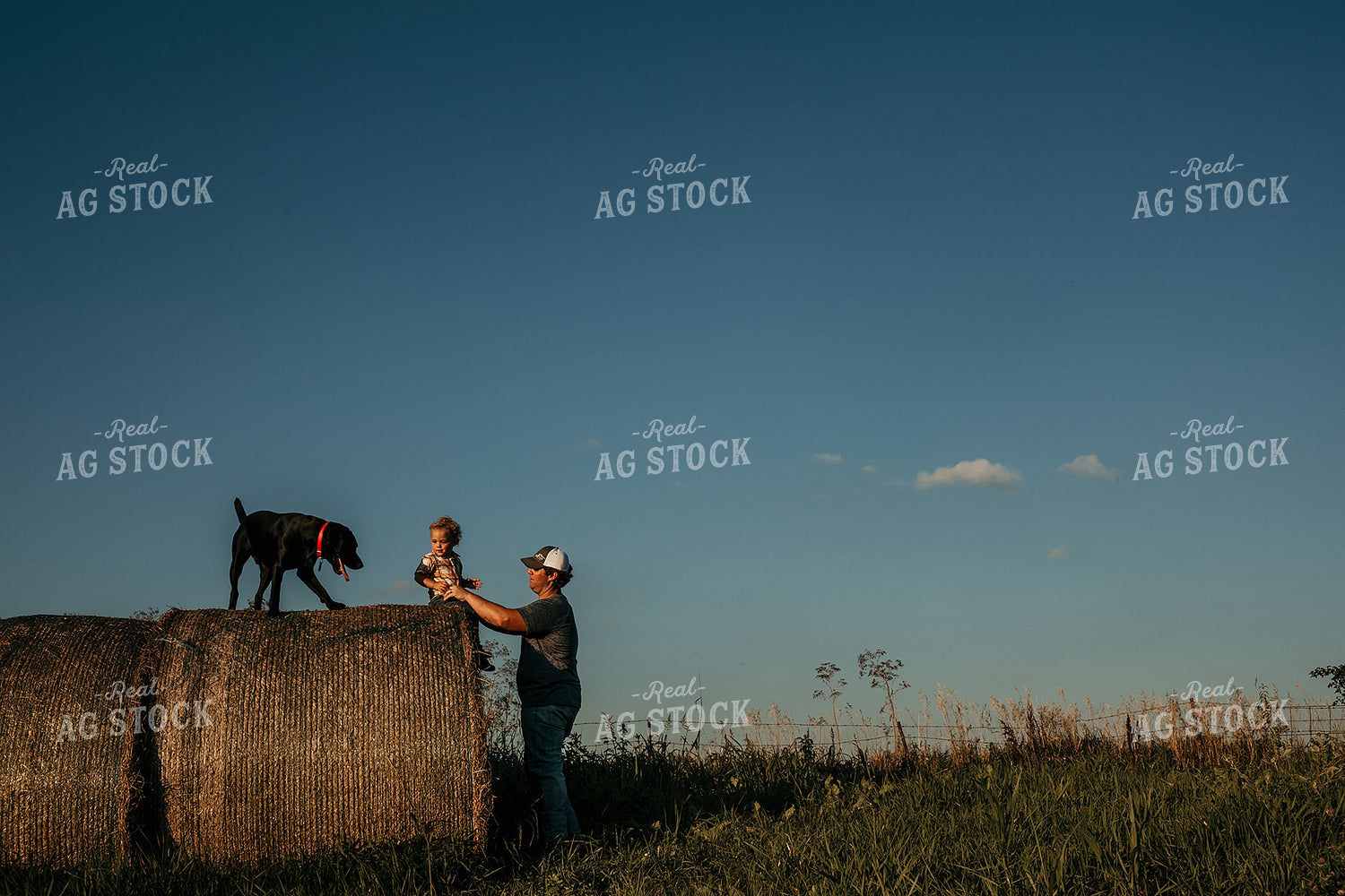 Farmer with Child and Dog Hay Bales 3170