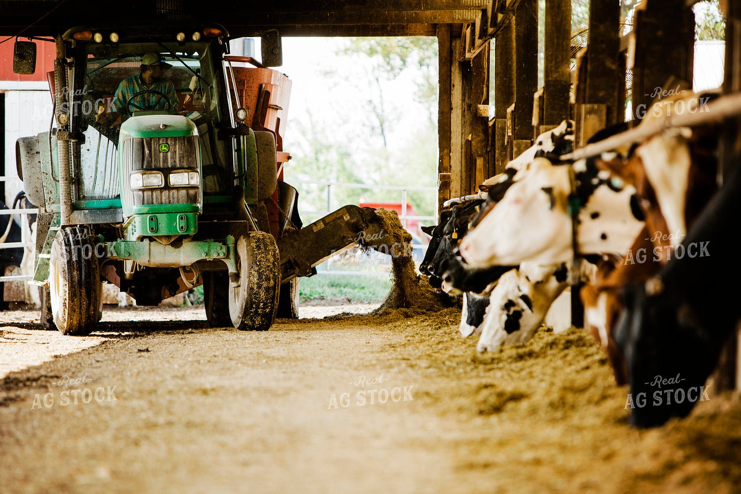 Dairy 2671