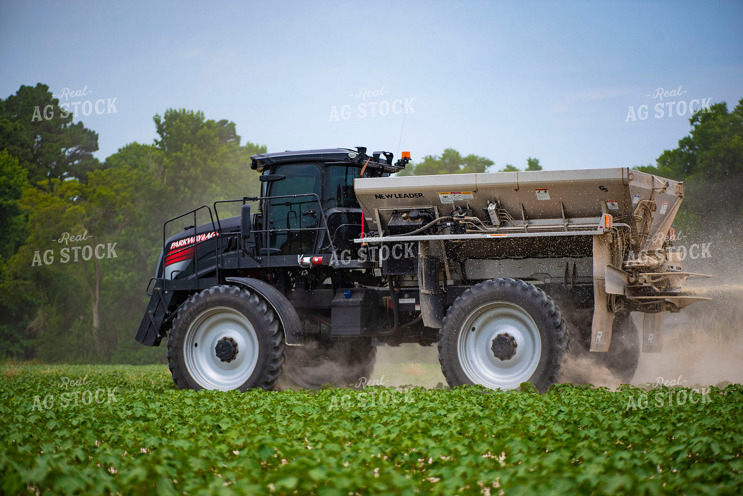 Spreading Dry Fertilizer in Cotton Field 136227
