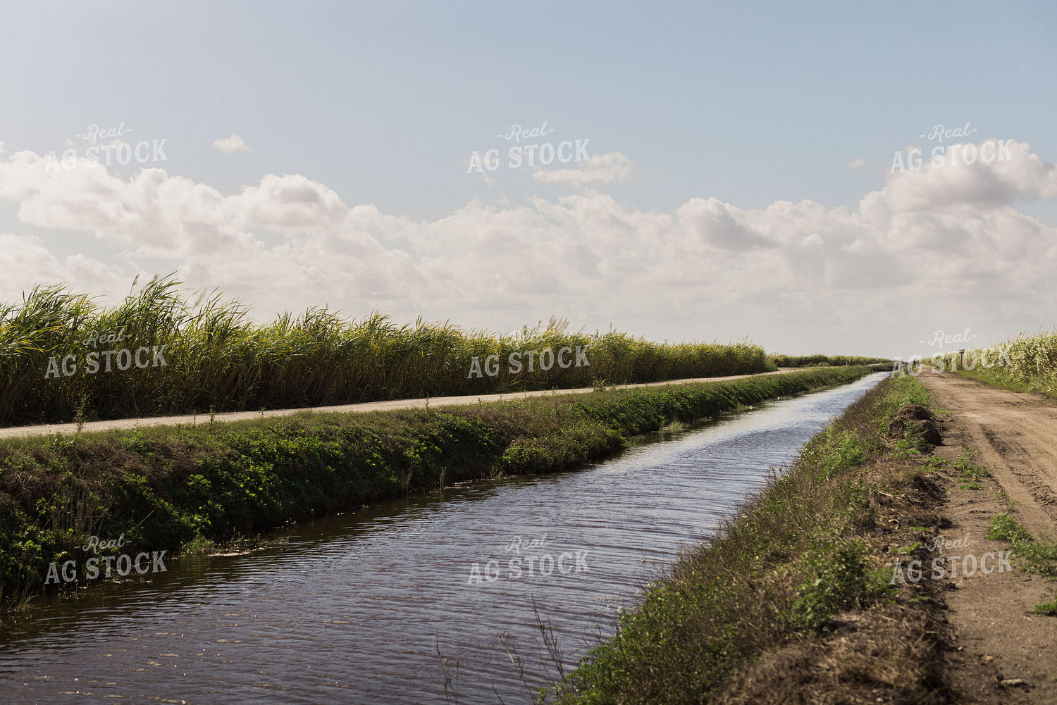 Rural Creek 7346