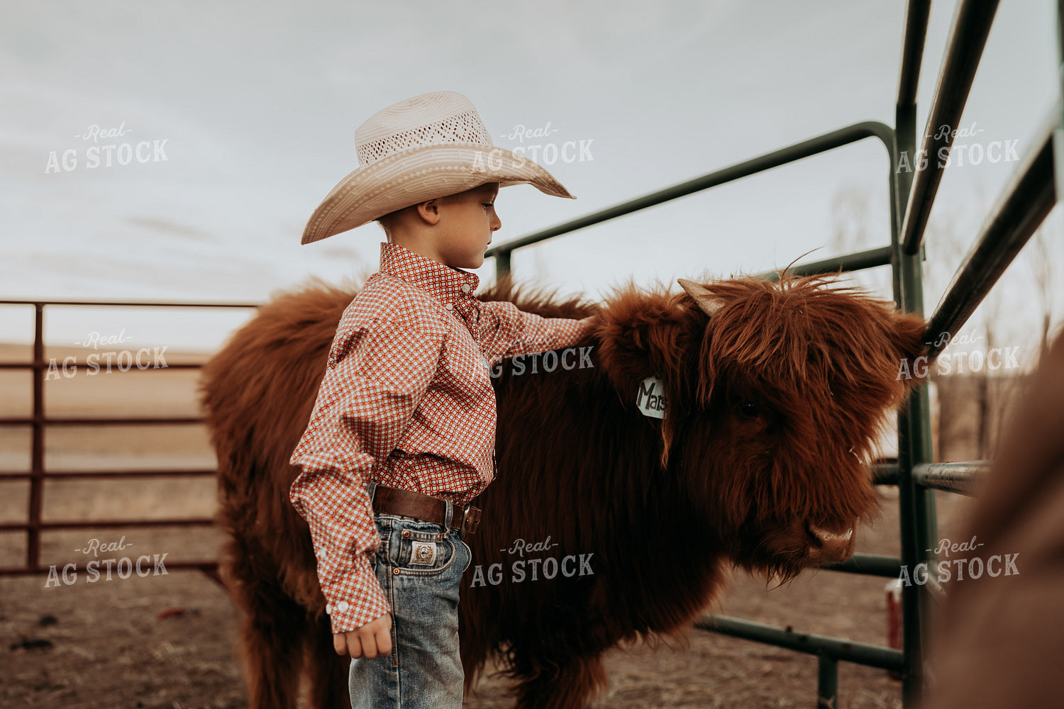 Farm Kid with Highland Calf 61222