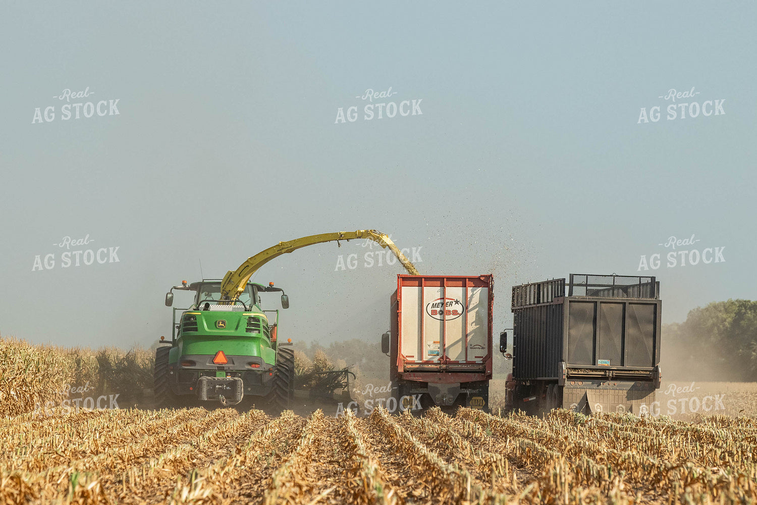 Silage Harvest 72106