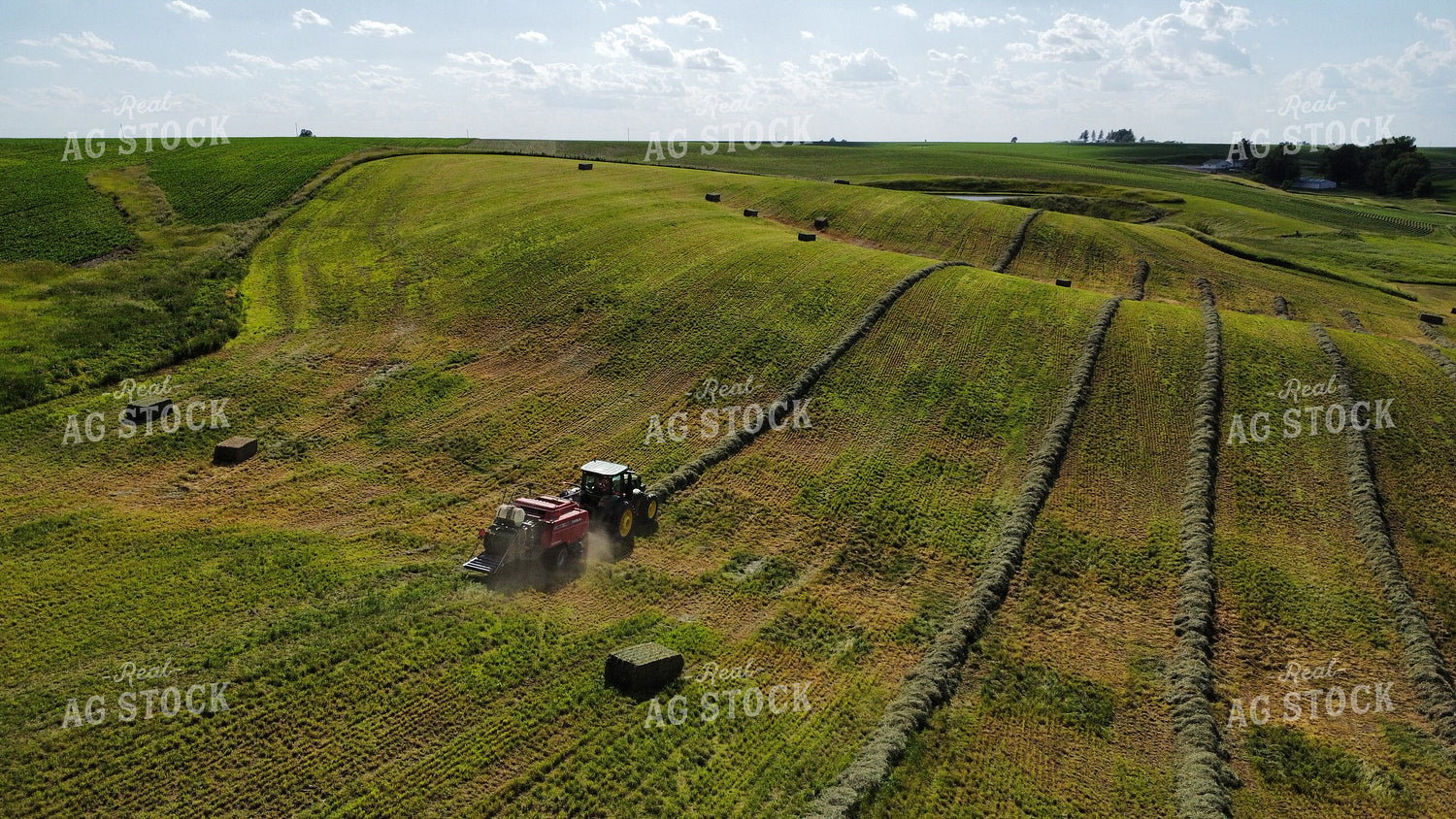 Baling Hay 215000
