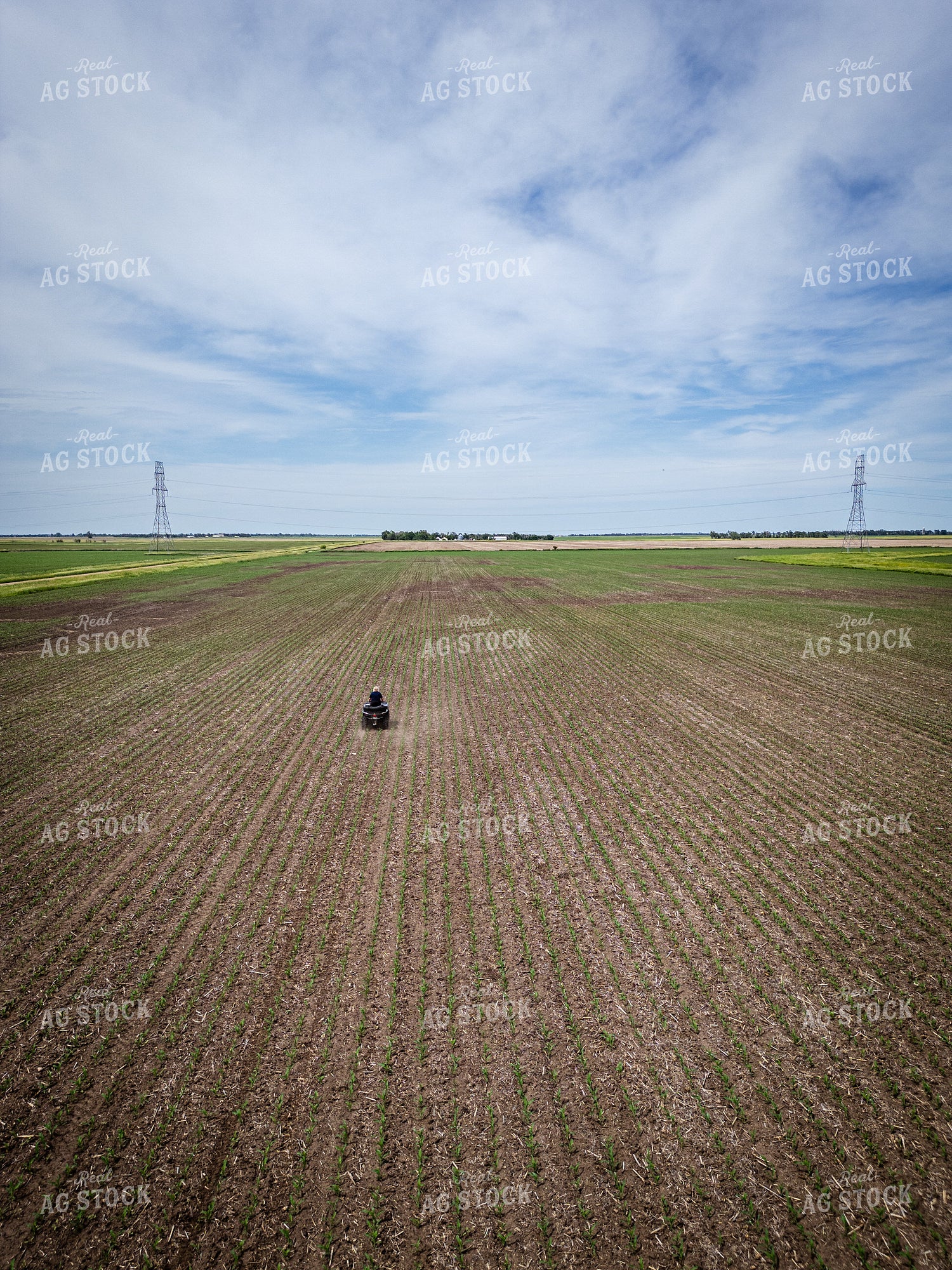 Female Agronomist Scouting Field 67726