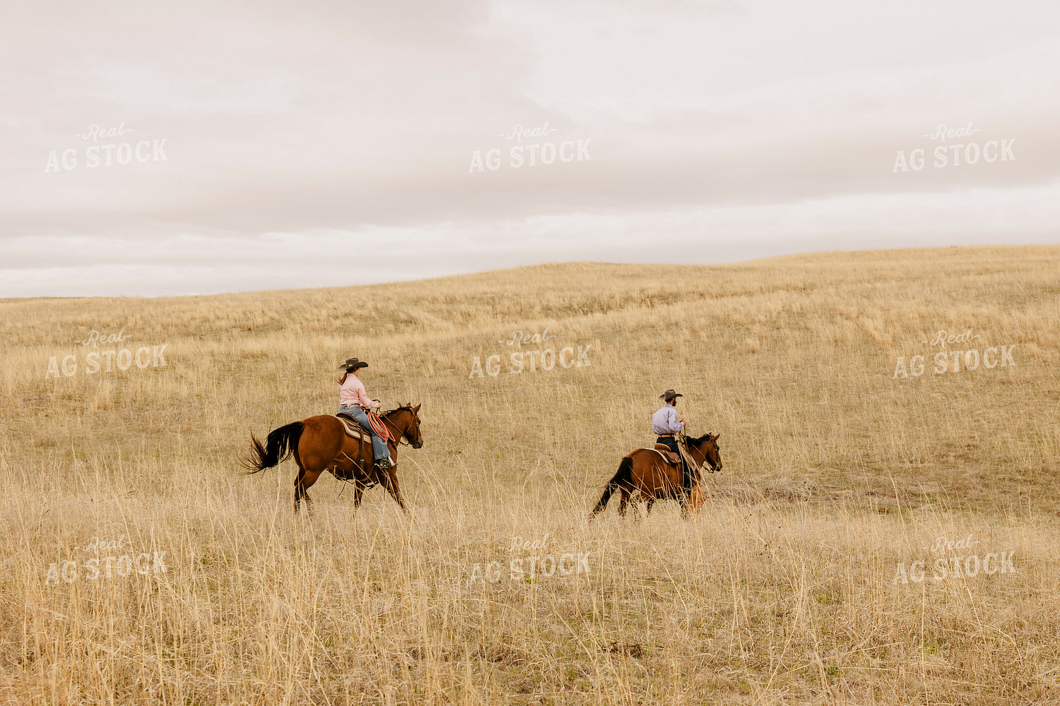 Ranchers on Horseback 207017
