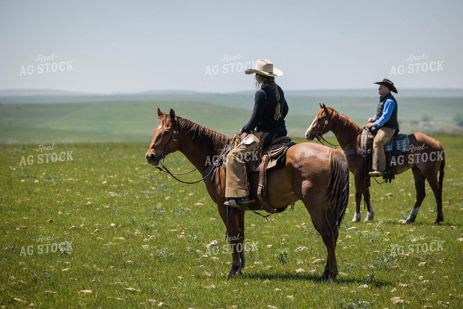 Ranchers on Horseback 219031