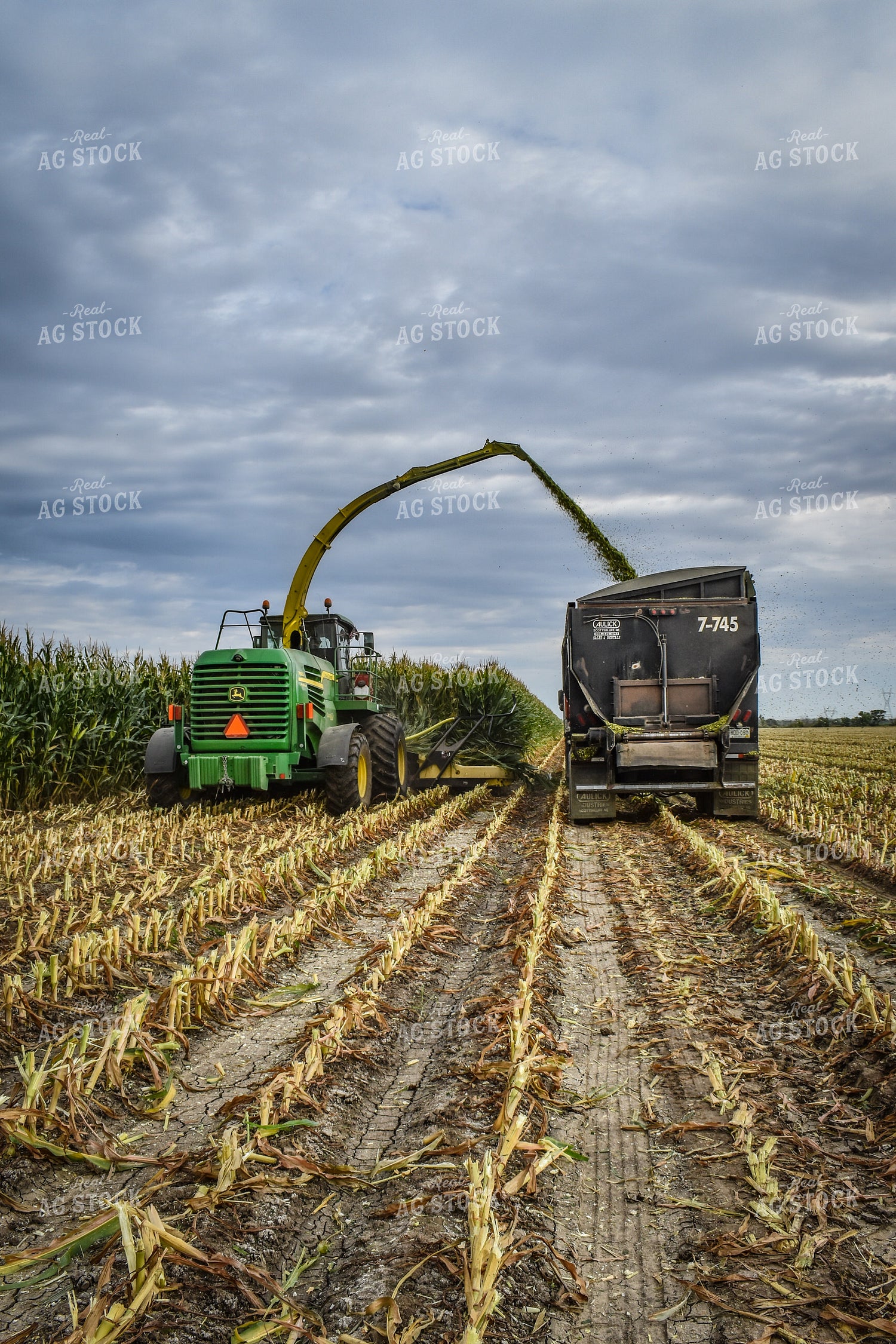 Silage Harvest 56230