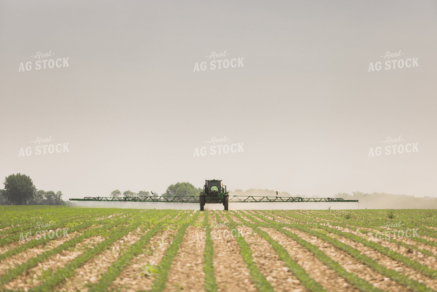 Sprayer Spraying Field 8026