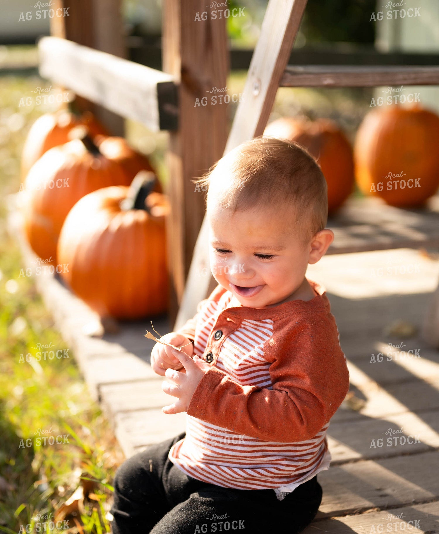Farm Kid with Pumpkins 185037