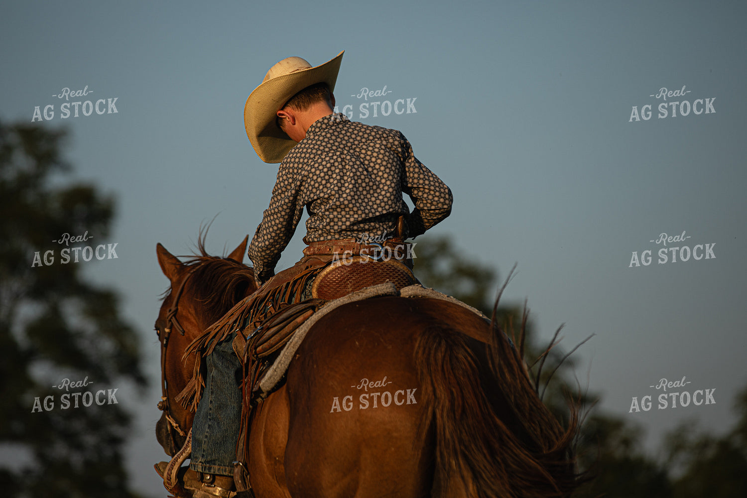 Rancher on Horseback 189006