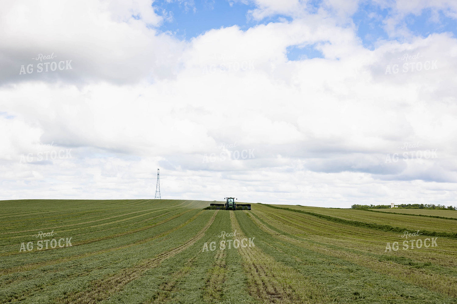 Merging Forage 152449