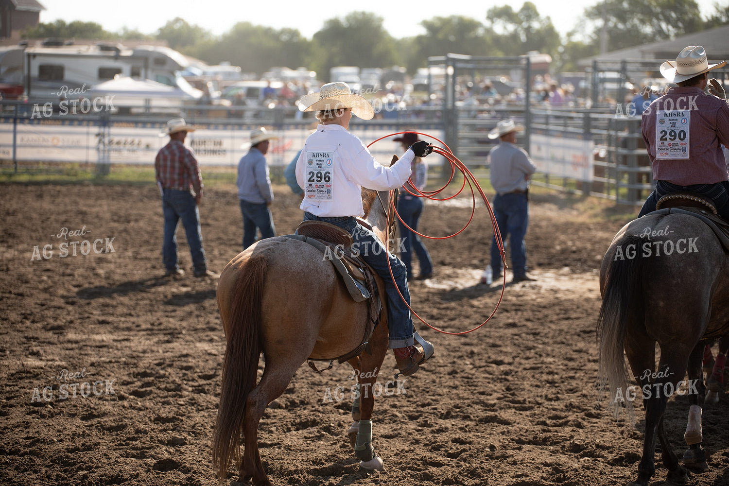 Rodeo 190002