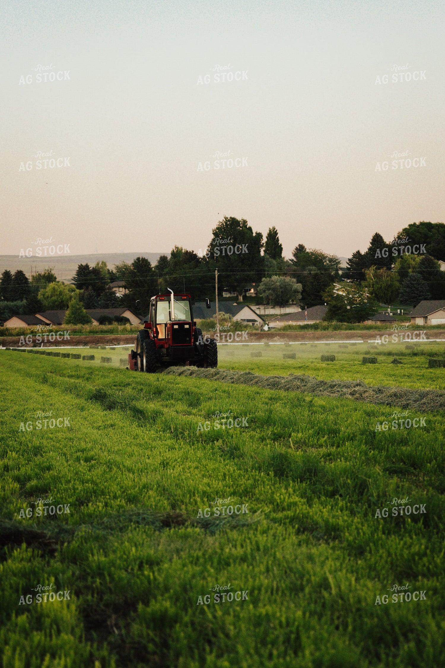 Baling Hay 83113