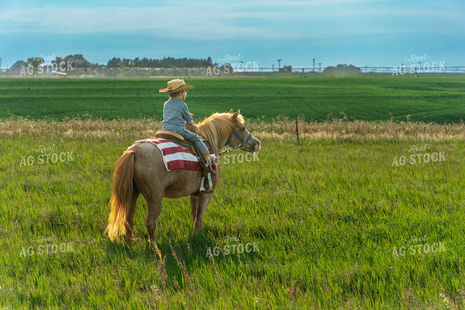 Farm Kid on Horseback 65064