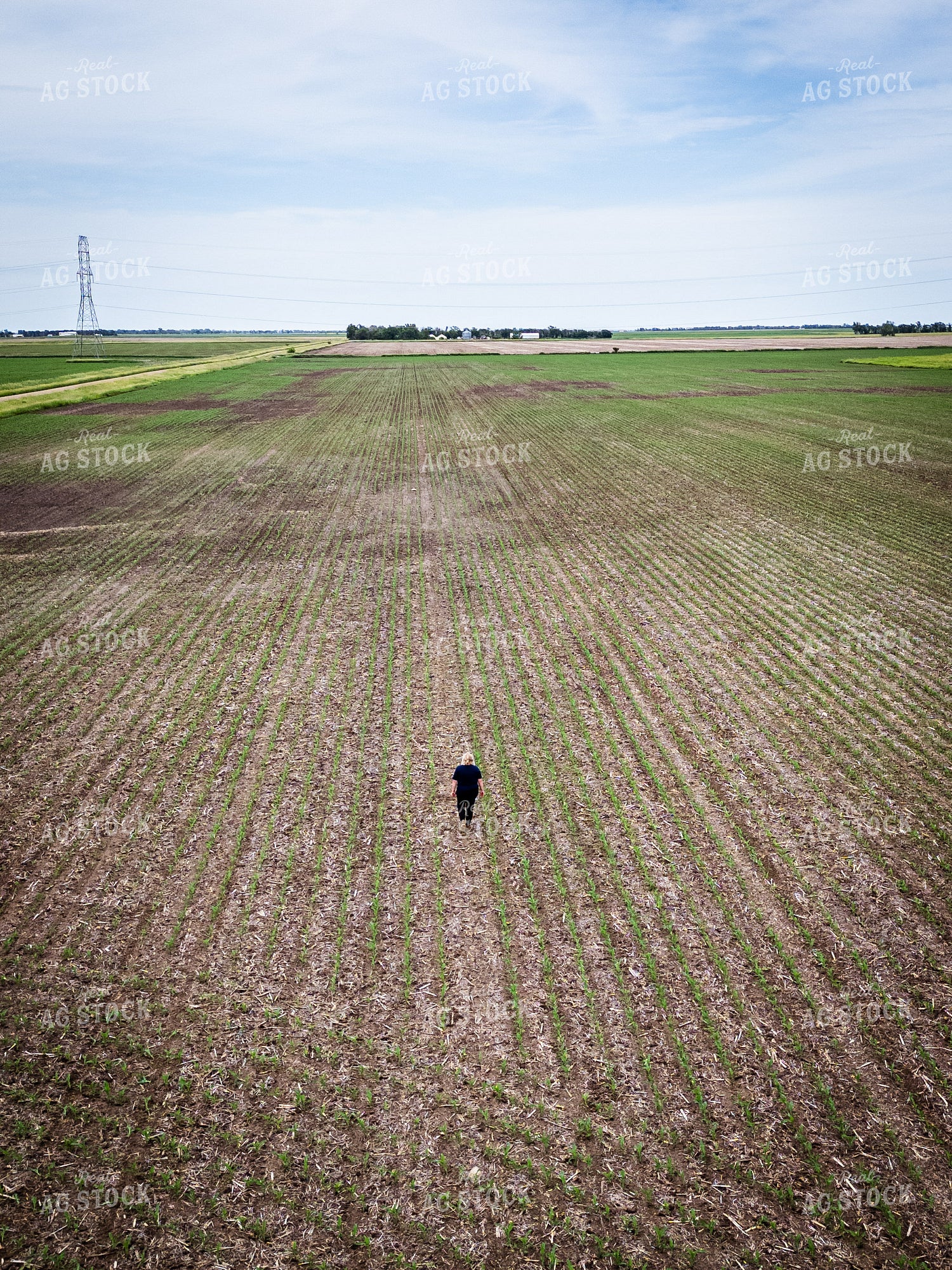 Female Agronomist Scouting Field 67730