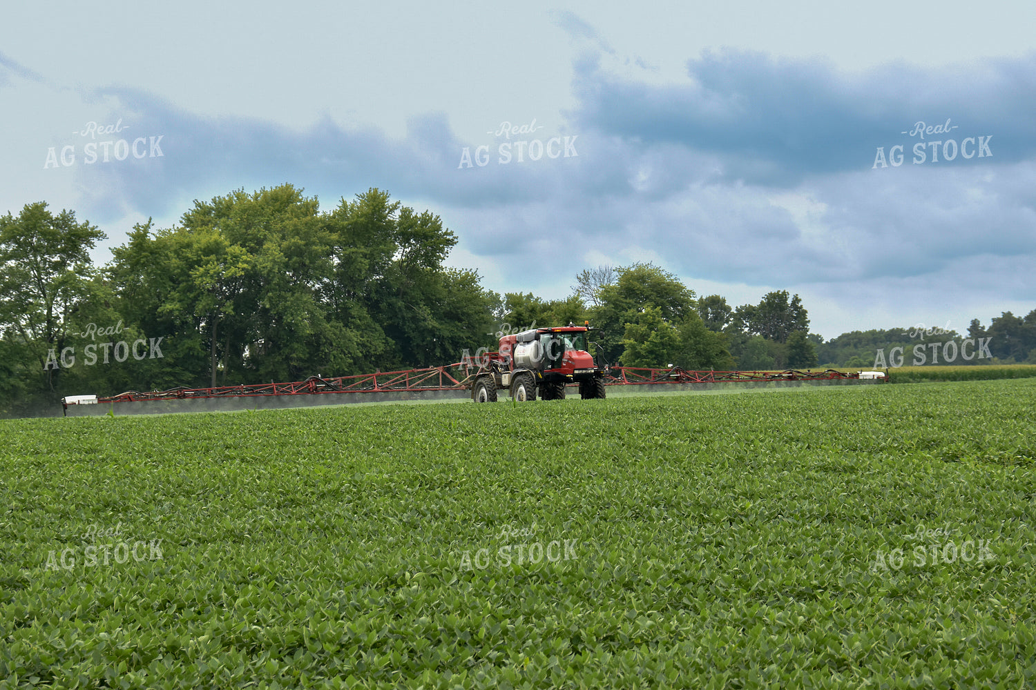 Spraying Soybeans 84118
