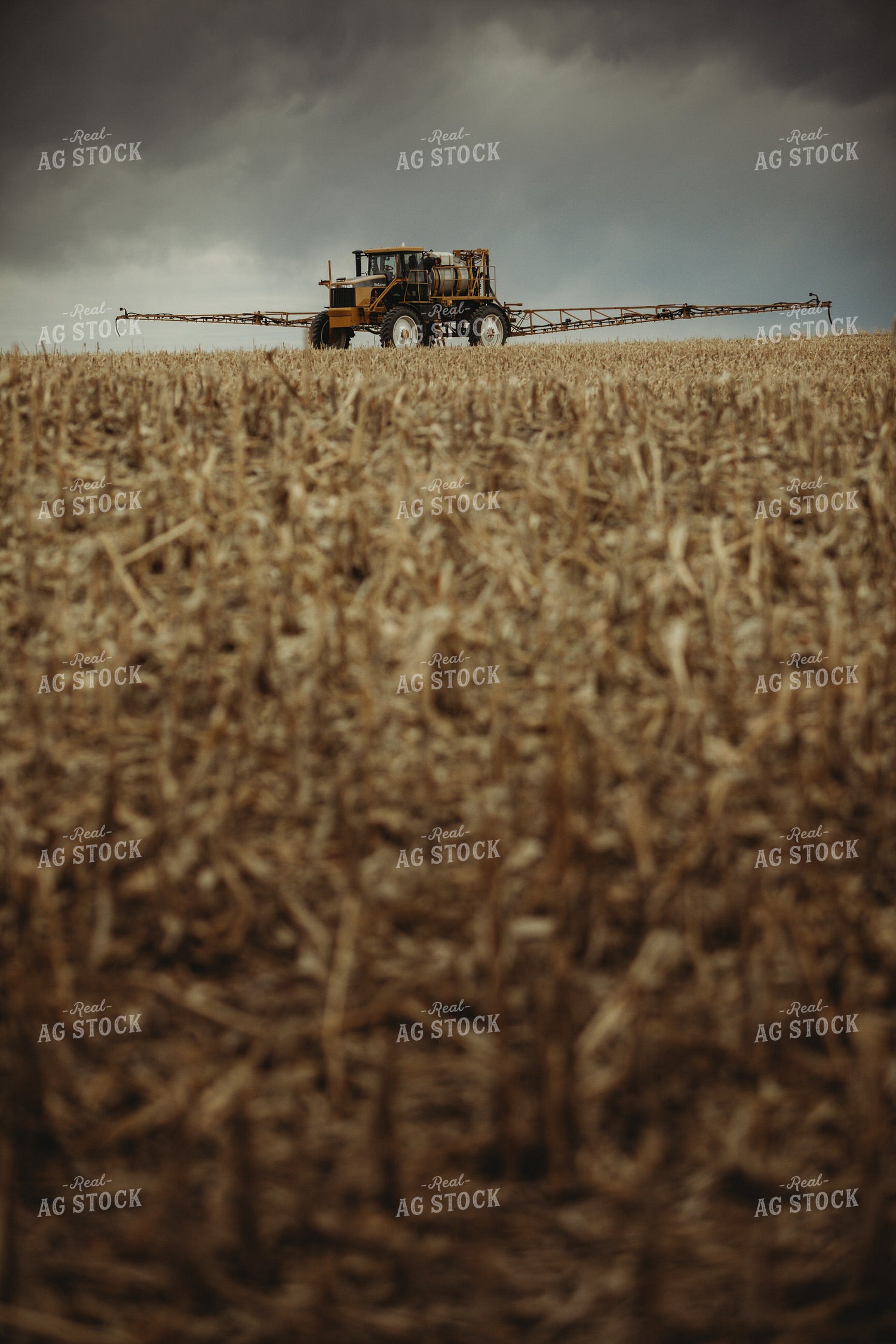 Self Propelled Sprayer Spraying in Corn Field 3665