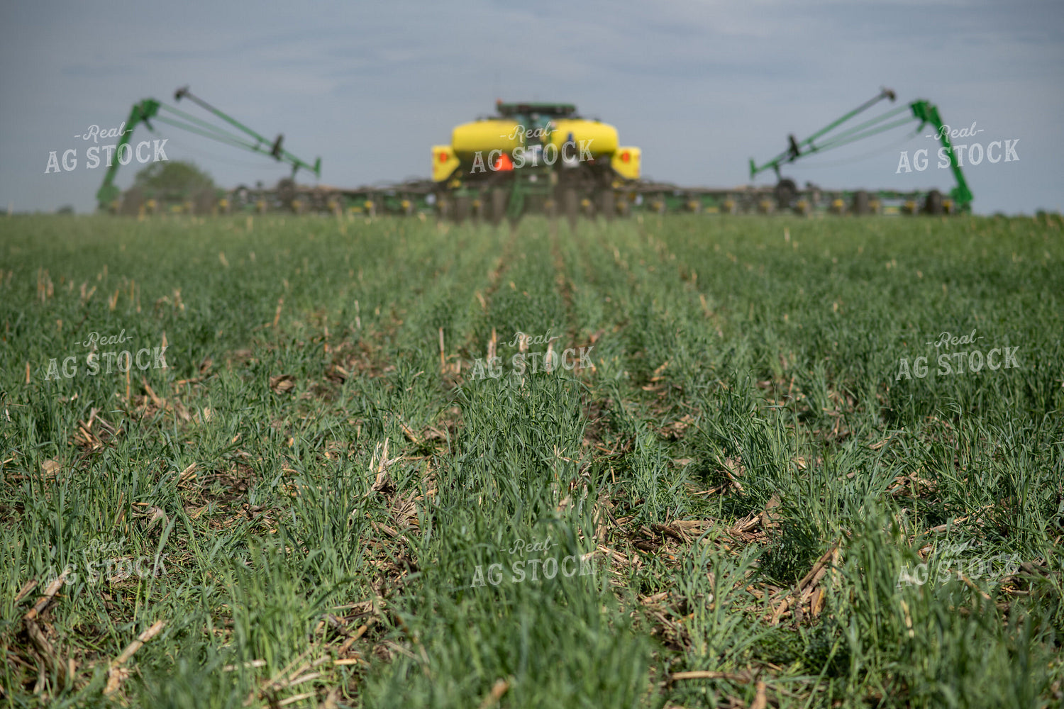 Planter in Field 76111