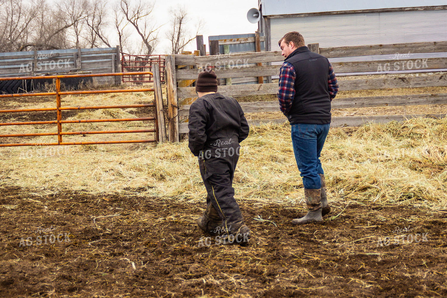 Farmer and Farm Kid on Cattle Farm 155124