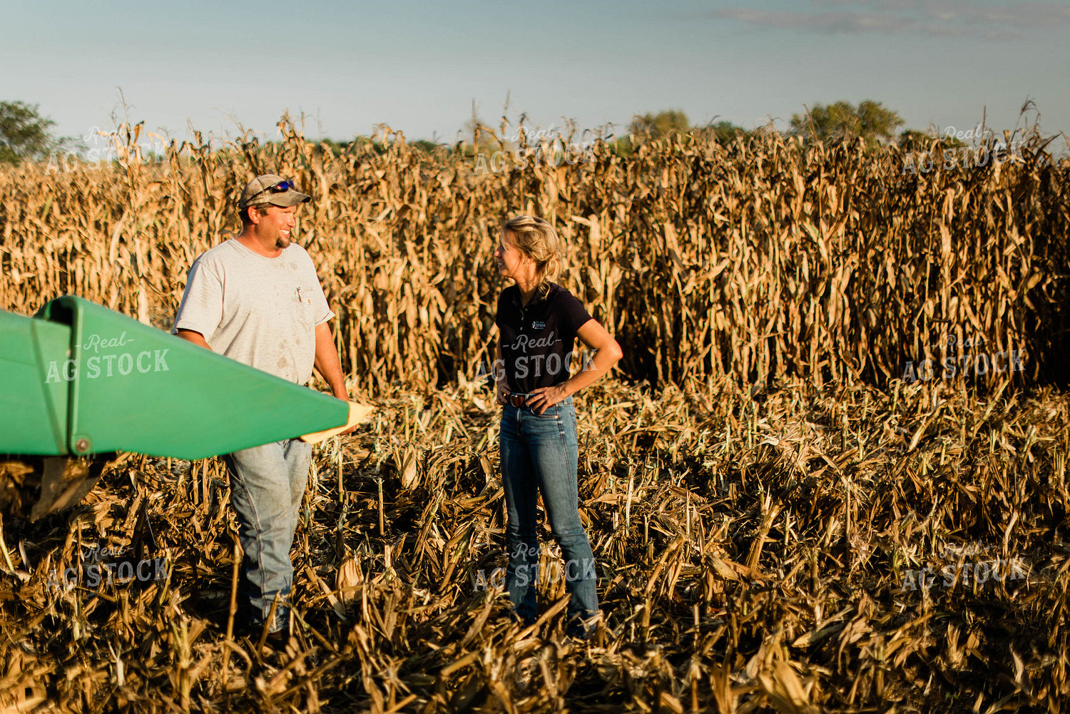 Farmer and Agronomist Talking in Field 8283