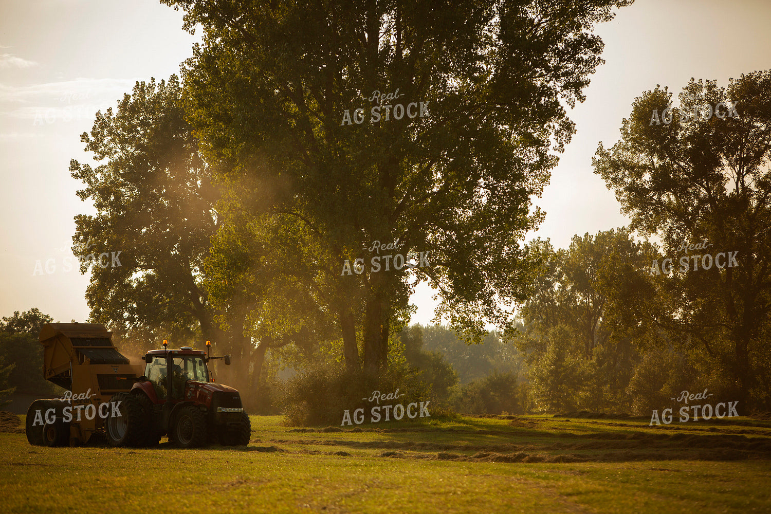 Tractor Baling Hay 5495