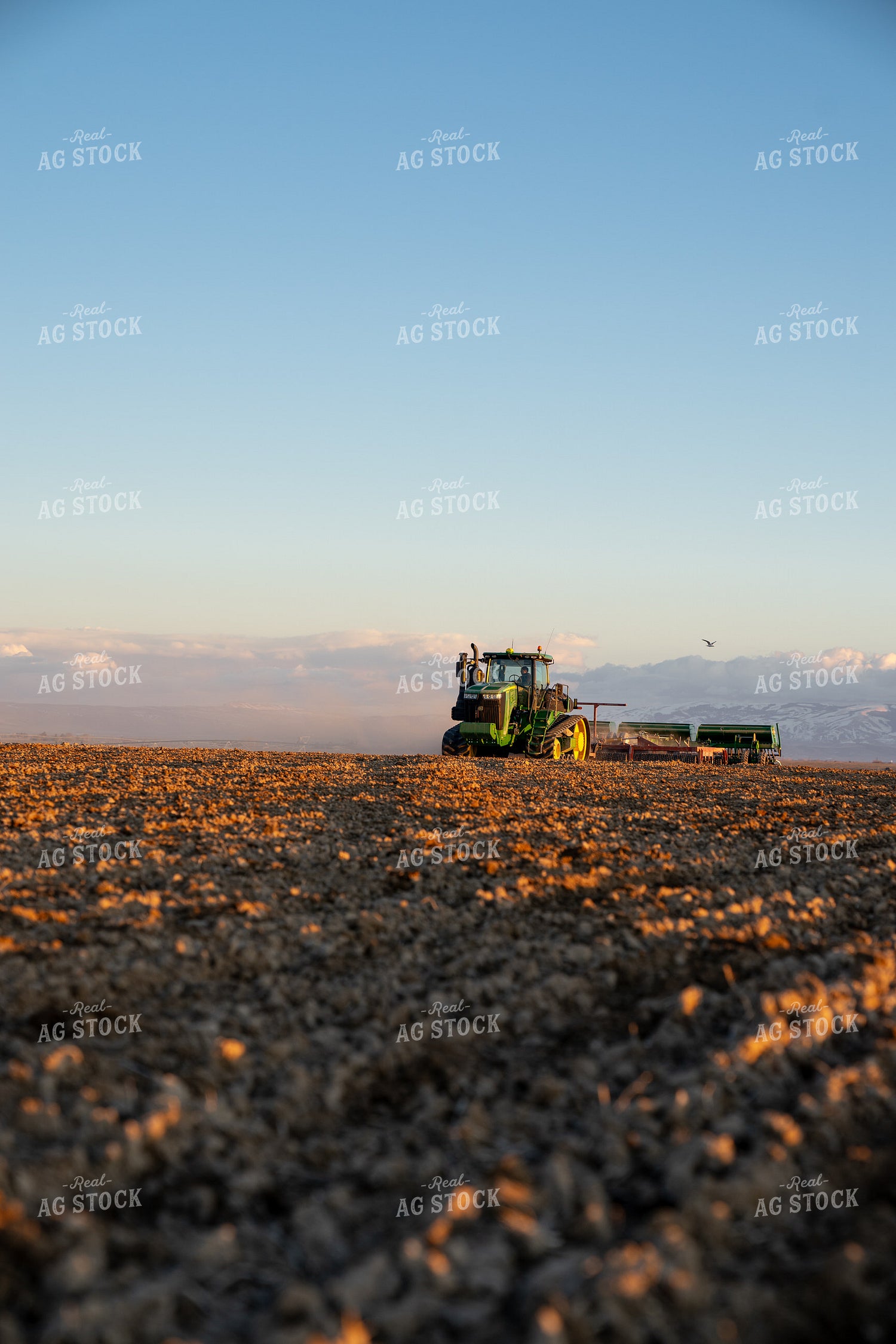 Drilling Barley 186006