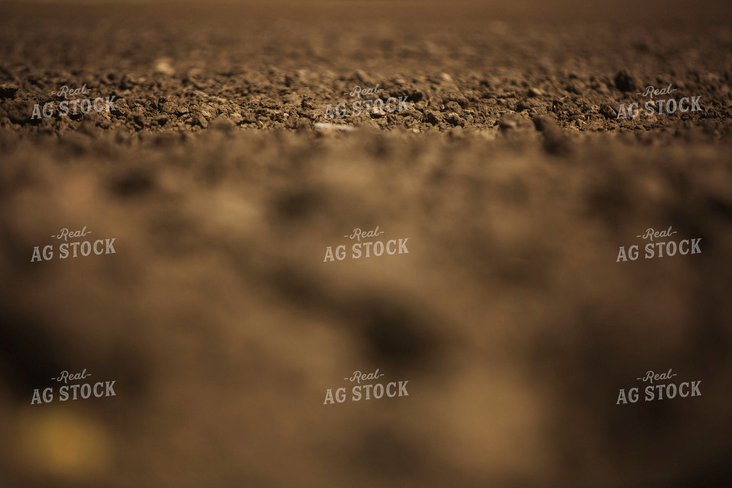 Freshly Tilled Soil 9694