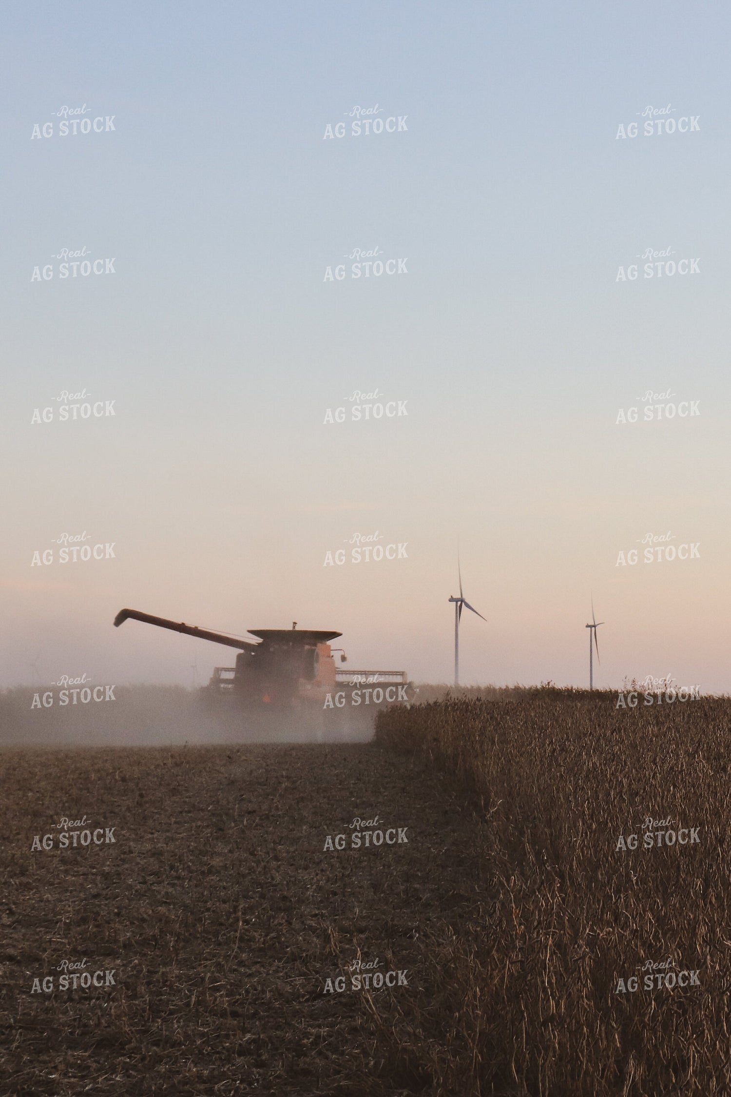 Harvesting Soybeans at Dusk 67037
