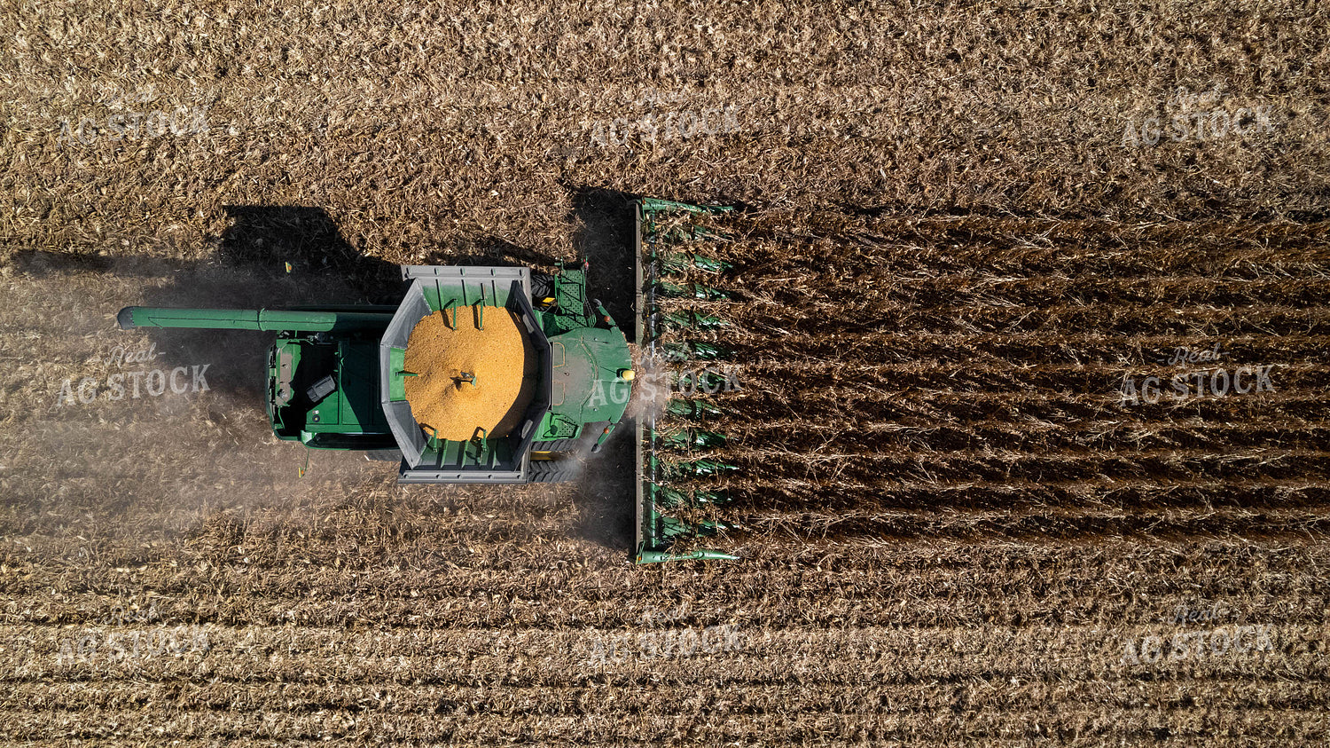Aerial Corn Harvest 114006