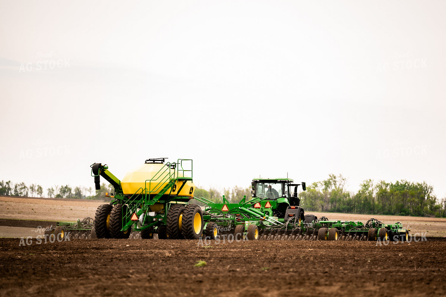 Planting 185219