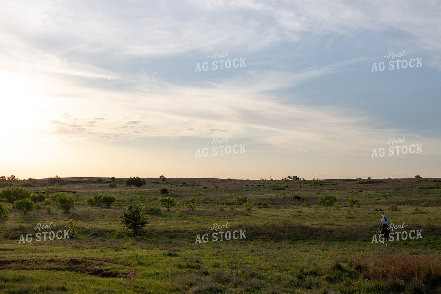 Female Rancher on Horseback 205031