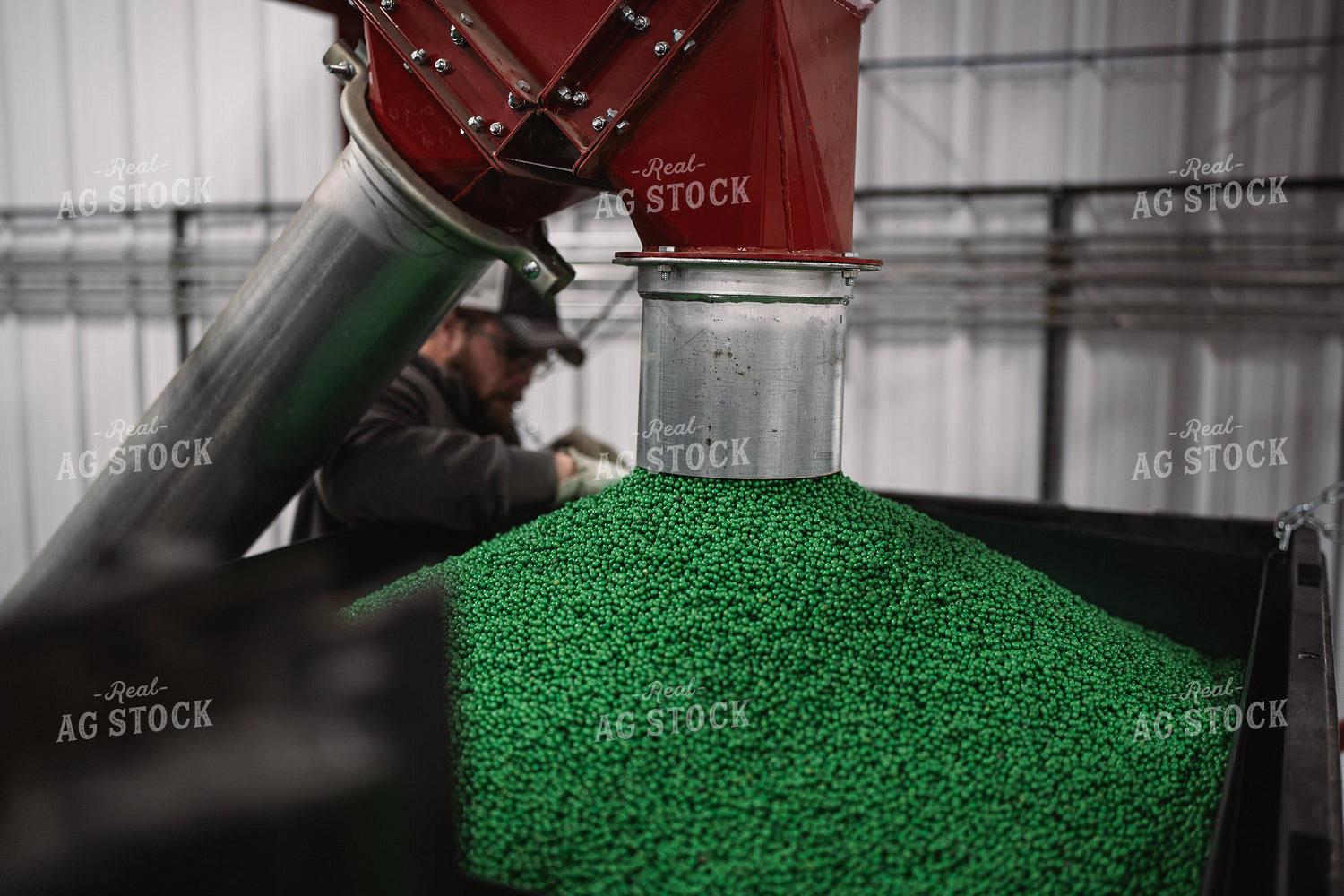 Treating Seed 196008