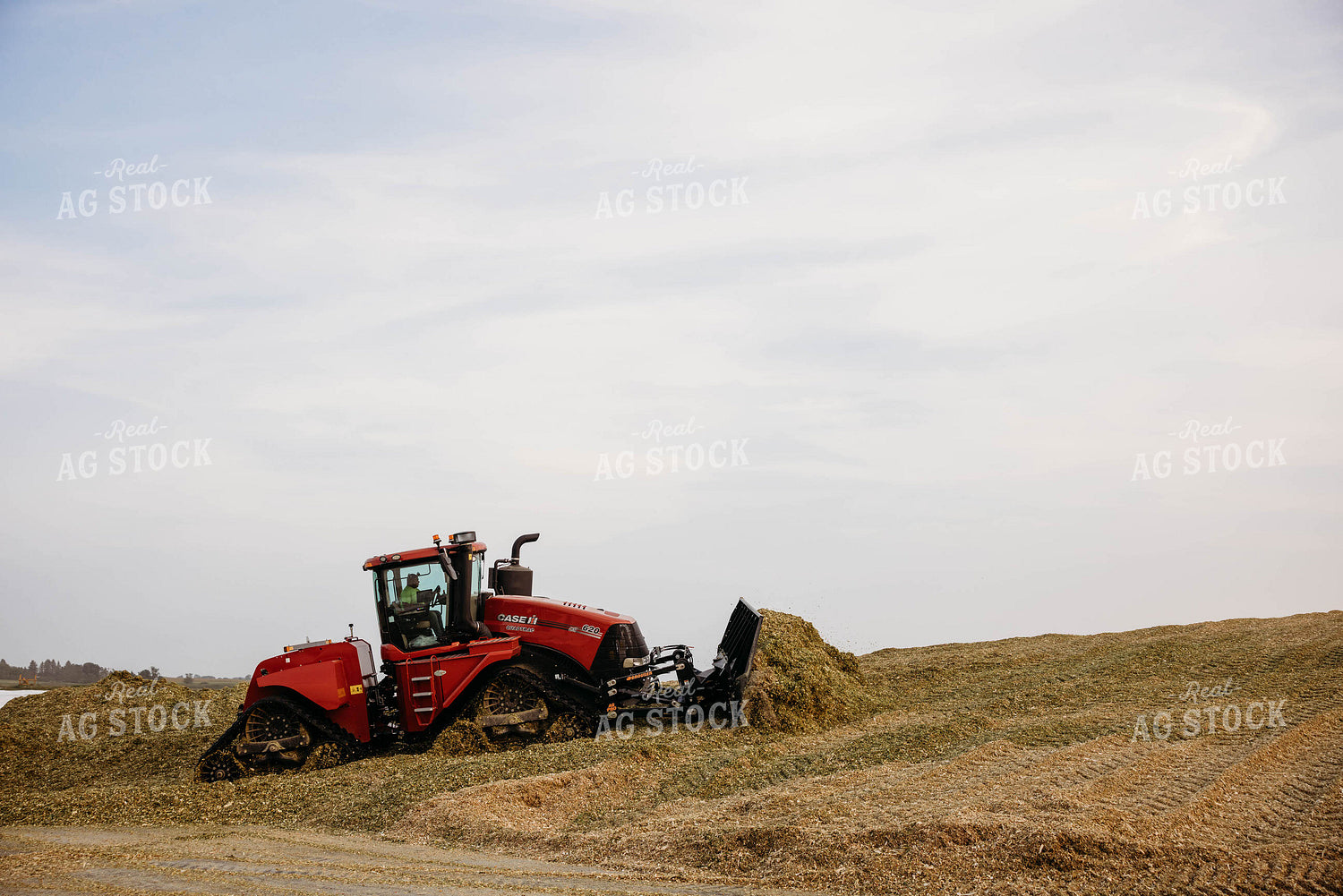 Packing Silage 152028