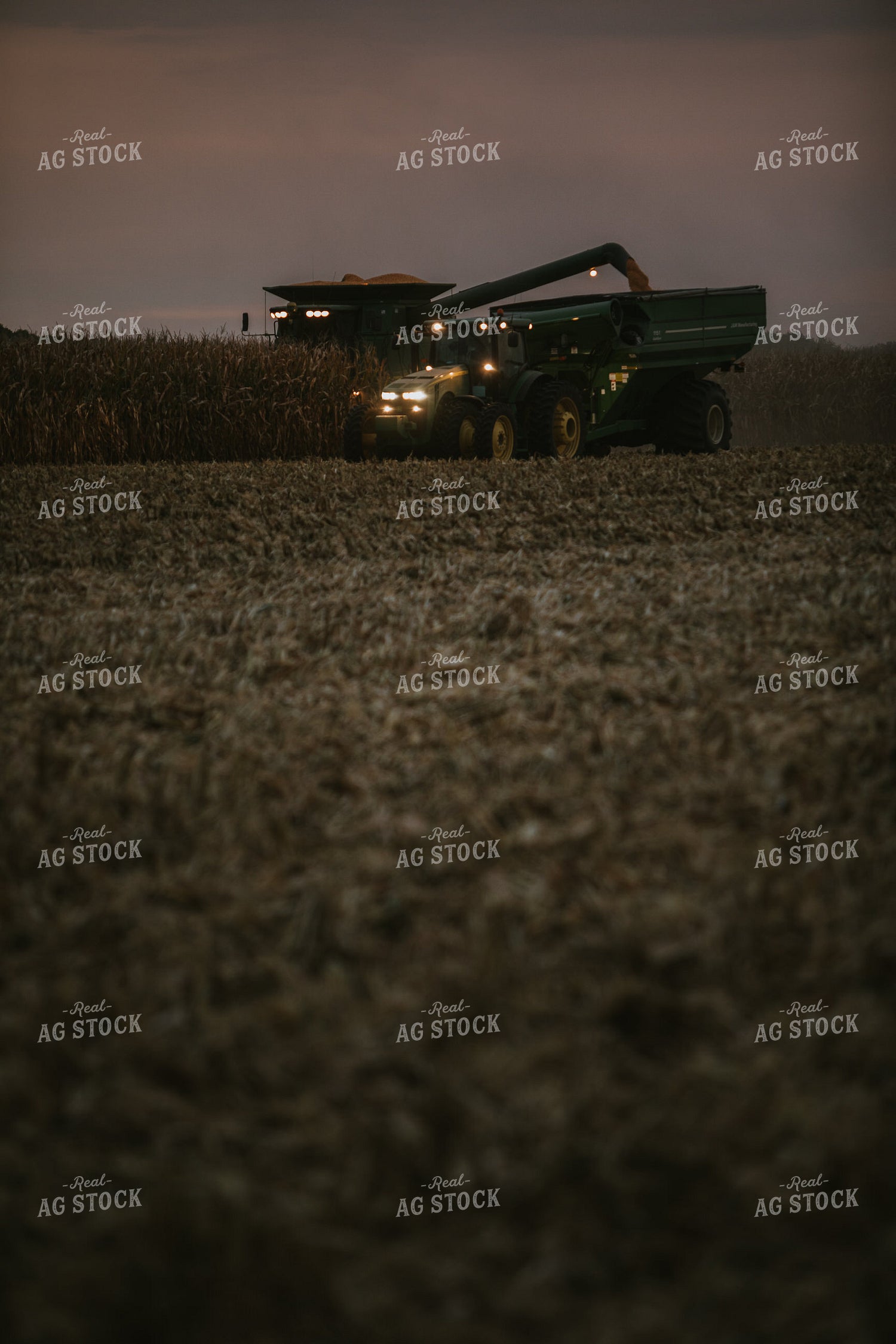 Corn Harvest 6705